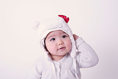 草莓站长统计:极速方程式,数据战场的竞速军师-1