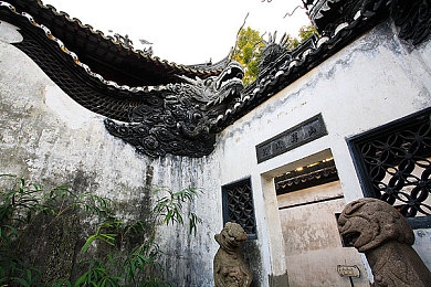 91包料：地平线5深度改装指南，让你的赛车在墨西哥弯道如鱼得水