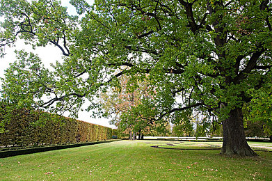 密挑AV片：竞速解谜新作极限车手上线，挑战感官边界的赛博狂飙今日开启