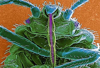 黄色3.00：赛道纪元隐藏机制揭秘，临界转速激活涡轮实现弯道超越