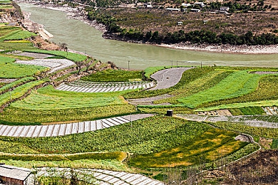 自由场景汇编自由性别包括哪些内容：《极限竞速：地平线》全新自定义系统上线，打造你的专属驾驶身份