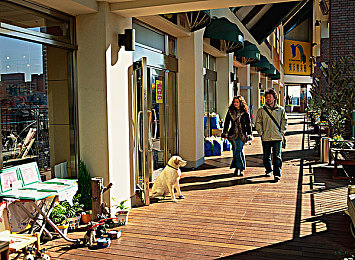 中文AV片：国产赛车新作今日上线，融合东方美学与真实驾驶体验