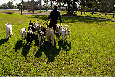 国产成人Av片：极光驰骋，真实机械模拟驾驶新纪元