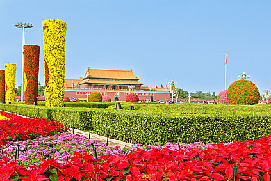 爱情岛  VIP永久入口：极限竞速地平线5隐藏赛道揭秘，浪漫竞速成玩家求婚圣地-3