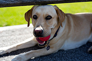 78.m隐藏通道5：极限车神地下狂飙，解锁终极改装空间的秘密路径