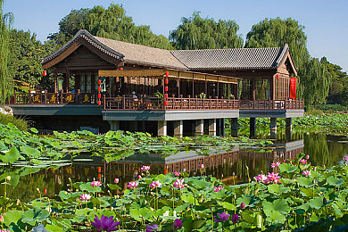 原神女角色被红绳束手束脚封住嘴巴图片：元素掌控下的战术博弈，从受制到反制的战斗艺术解析