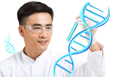 麻花传mdr国语免费：谜题赛道，极速脑力竞逐之旅