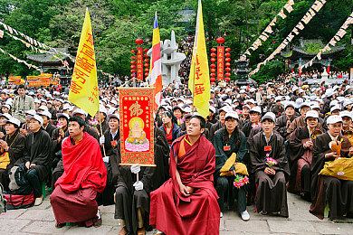 男人的机机桶女人的：重型猛兽与灵动座驾的终极对决，街头争霸攻略全解析-2