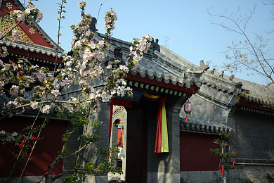 91i吃瓜：极限竞速地平线5最新玩家创意赛事盘点，搞笑名场面与飙车指南全解析