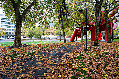 9777xcc最新版本更新内容:极速狂飙新纪元来临,真实授权跑车与动态赛道震撼登场-1