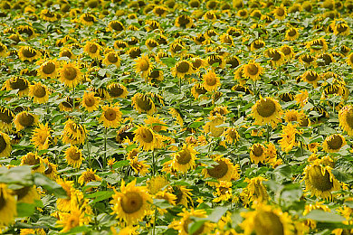 18种禁用app软件黄：《极速狂飙》上线全新公平竞赛系统，违规改装模块遭全面封禁