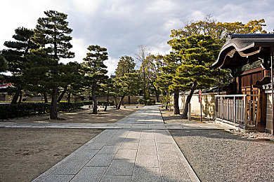 一区二区韩国:竞速世界分区探秘,不同服务器的驾驶风格与进阶攻略-2
