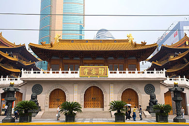 男人操美女软件：极速伴侣，与智能副驾共舞赛道风云