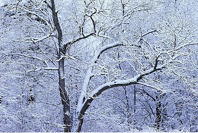 男男暴菊gay无套网站：极速贴影，零距博弈，弯道外科手术竞速艺术