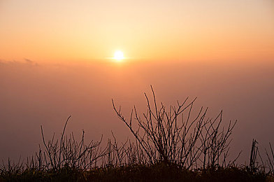 十大不能下载的软件：警惕汽车游戏新陷阱，权威避坑指南与精品推荐助你安心驰骋