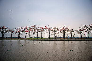 火影18家 动漫：疾风赛道疾驰，家族忍术点燃竞速新对决-2