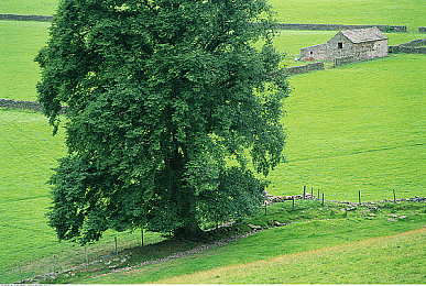 中国少妇ⅩⅩXXX：霓影双面人生引爆竞速新作，深度改装与叙事革新今日揭晓-2