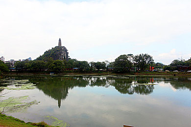 男女拔罗卜：泥地共驰，双人一心共采丰收竞速之旅-3