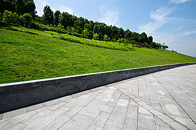 黄色软件303OPP0免费大全:霓虹城飙车指南,从入门到改装大师的终极攻略-1