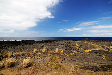 又疼又叫：痛楚与狂喜交织，征服拟真驾驶的终极试炼