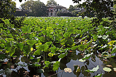 国产精品秘 果冻传媒：弹性赛车新作颠覆物理规则，竞速游戏迎来柔软驾驶革命-2