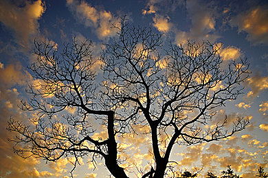 404款禁用观看：极限车手隐藏车库揭秘，都市传说背后的终极座驾-3