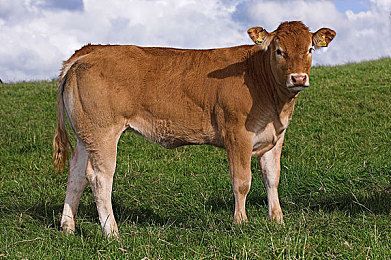 韩国演艺圈事件36集全集内容概括：霓虹赛道，三十六夜，疾驰人生，首尔迷踪-2