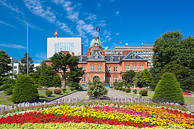 中国久草：废土重生，从零开始建造你的末日家园-2