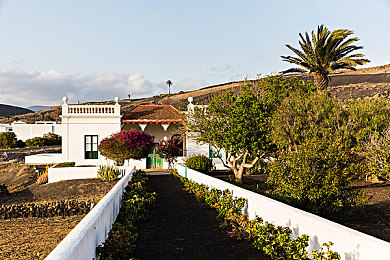 3p怎么调节气氛:墨西哥狂飙,与好友共舞的默契竞速派对-2