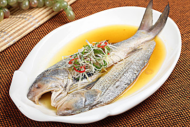 gogogo免费看高清摄像头：鹰眼竞速新纪元，全景视角驾驭极速赛道