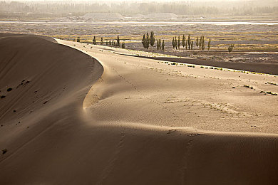 打扑克做运动软件：脑力赛道，策略狂飙，卡牌竞速双重对决-2