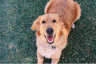 亚洲第一页综合：墨西哥画卷，驰骋于速度与文明的狂欢盛宴