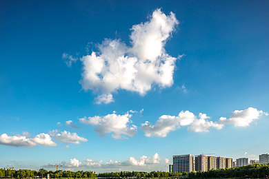生物老师用自己当实验教材：变异座驾进化论，亲手打造你的废土共生战车-2