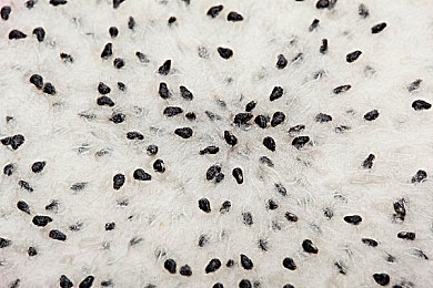 男生摸男生下体网站:物理引擎引爆团队狂欢,碰撞乐园开启爆笑合作新纪元-2