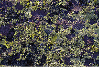 男生和女生在一起xlxxapp：极速同行，默契共驭，心随轮转的冒险旅程