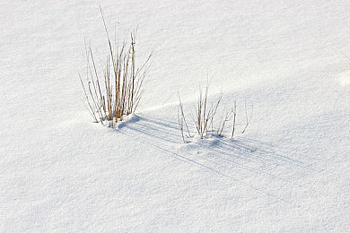 体育生脱裤子自慰:《赛道觉醒》今日上线,职业车手的成长之路开启极速狂飙-3