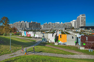 女人和公豬交内谢＼：当荒野低语，生命与伦理的沉默交易