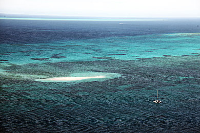 国产成人在：东方引擎轰鸣，虚拟赛道上的中国速度觉醒-1