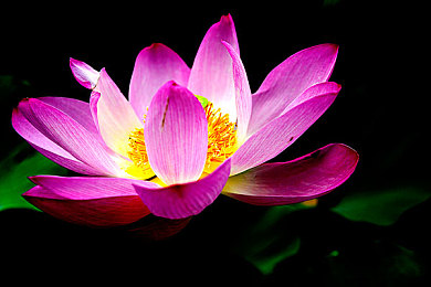 男生女生一起差差App:双人竞速新作极速搭档上线,差异协同驱动竞速革命-2