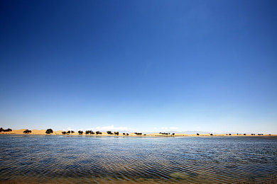 污软件大全:荒诞引擎,软泥市街头改装幻想曲-2