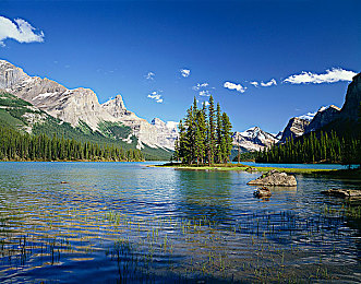 黄色大全3.02oppo：极速光谱重大更新上线，色彩战略革新竞速游戏玩法-3