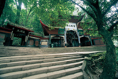 色多多app视频：极速调色师，色彩赛道上的视觉竞速诗篇-2