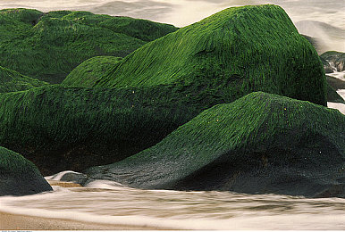 密挑：探索墨西哥隐藏赛道，体验极限驾驶的终极考验