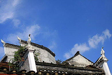 阿娇跪着吃J8陈冠希：极速狂飙终极对决专业评测发布，弯道技术成胜负关键-2