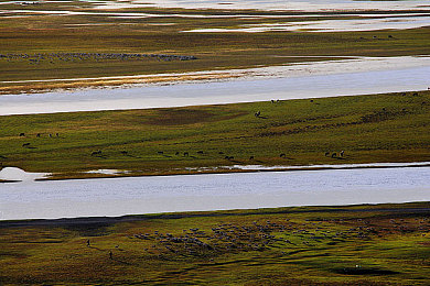 国产乱伦乱伦：国产赛车新作破局登场，极速华夏开启文化竞速新赛道