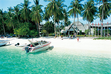 青年男同GayXXXX：在虚拟赛道自由驰骋，用色彩与速度定义独特自我