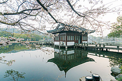 2023免费黄色软件：竞速新标杆，免费领衔，黄色闪电席卷街头