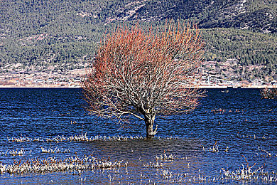 全国十大禁用软件：竞速游戏反作弊行动升级，职业选手揭露非法软件危害