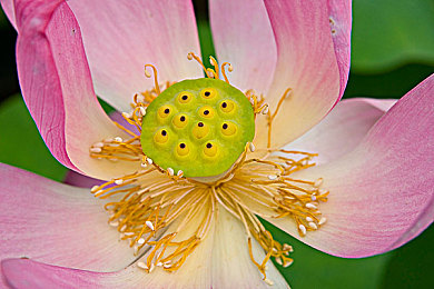 韩国日本一区：竞速游戏新纪元，东亚赛道美学与改装文化深度解析-2