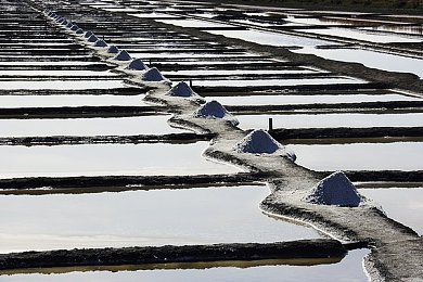 男生和女生一起差差差差app：双人竞速新作极速搭档上线，男女协同驾驶引爆合作热潮-3